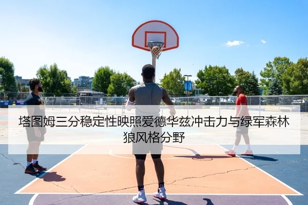 塔图姆三分稳定性映照爱德华兹冲击力与绿军森林狼风格分野 | kaiyun
